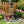 Rottweiler Dog Family Planter Statue