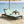 Black Acacia Wood Chaise Lounge with Leaf Coconut Cushion