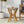 Yukon Contemporary Side Table with Lightweight Concrete Top and Acacia Wood Frame - Gray