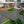Patio Deck Tiles, Pack Of 22