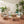 Casper Outdoor 5-Pieces Chat Set