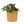 Handmade Ceramic Planter Set of 3