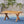 Eaglewood - Coffee Table - Teak