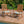 Outdoor Chair Cushions Set of 2, 19 x 19 x 4 Inch Tufted Seat Cushions