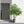 Artificial Banyan Tree With A Trunk And Lifelike Leaves, For Indoor And Outdoor Use - Green