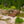 Wooden Garden Bridge Arc Footbridge With Half Wheel Railings Solid Fi - Brown