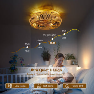 19" Caged Ceiling Fan with Lights and Remote
