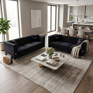 FX-P82-2PC Sofa Set