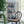 Rattan Dining Chair (Set of 2) - Black Multi