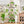 9-Tier Indoor Plant Stand with Grow Light