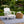2 Pack Outdoor Lumbar Pillow Covers - Blue Medallion