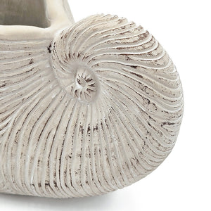 11.5x6.7x7.7" Sand and Cement Nautilus Shell Planter with Textured Beige Finish
