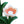 Standing Black Bear Garden Planter with Decorative Solar Lantern