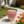 Strawberry Fruit Stool, 13.4