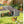 Large Chicken Coop with 20.93 Sq Ft Run