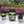 4 PC Rattan Patio Furniture Set Outdoor Cushioned Wicker Sofa Green Cushion