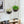 Self Watering Hanging Planter