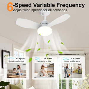 24.4" Modern Ceiling Fan with Light