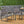 Aresha Metal Outdoor Dining Armchair (Set of 2) - Gray