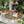 U_STYLE Farmhouse 5-Piece Outdoor Patio Dining Set