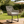 Light Patio Chair