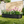 Galvanized Raised Garden Bed 8x4x1ft