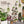 Outsunny 8 Tier Plant Stand Indoor