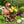 Outdoor Garden Sculpture Flamingo Flower Pot Planter