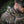 M-Tac Pouch for Tourniquet Elastic MOLLE Gen.II
