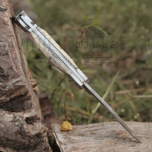 Back Lock 9" Handmade Damascus Steel Pocket Knife Stag Antler Handle Engraved clips Folding Knife