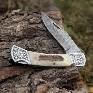 Back Lock 9" Handmade Damascus Steel Pocket Knife Stag Antler Handle Engraved clips Folding Knife