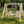 Backyard Wooden Swings for Your Garden