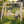 Backyard Wooden Swings for Your Garden