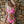 Baewatch V-Cut Bikini Bottoms - TRAPSKI