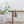 Bamboni Mini Bamboo Rayon Baby Blankets 15x20 Inches