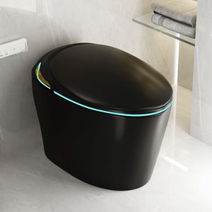Unique Smart Toile With Built In Bidet, Auto Open / Close Seat, Foot Sensor, LED Display, Night Light, Warm Water & Dryer Ceramic