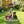 Rottweiler Dog Family Planter Statue