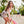 Women's Free 2 Explore Hybrid Skort
