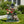 Sitting Pug Dog Planter Statue