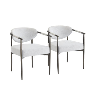 Modern Dining Chairs Set of 2 with Bronze Iron Frame