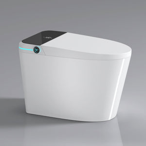 Modern Smart Toilet with Bidet Seat Built-In