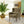 Modern Olive Green Chenille Accent Chair