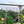 Metal Garden Arch W55'' x H94.5'' - Cream White Outdoor Arbor