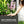 Planter Box Raised Garden Bed