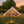 Oxford Bell Tent 13.1FT with Stove Jack for Family Camping