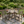 Antique Wood Color HDPE 5-Piece Outdoor Patio Dining Set with Square Table and 4 Armless Chairs, Umbrella Hole