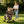 Double Pet Stroller for Dogs and Cats