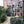 Metal Garden Rustproof Trellis For Climbing Plants Outdoor Flower Support