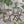 Bistro Foldable Chair With Wicker Backrest