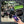 24V Kids Ride-On Electric Car with Parental Control